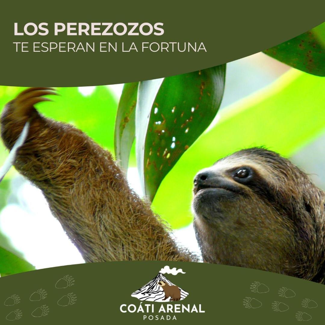 Coati Del Arenal Posada La Fortuna Екстериор снимка