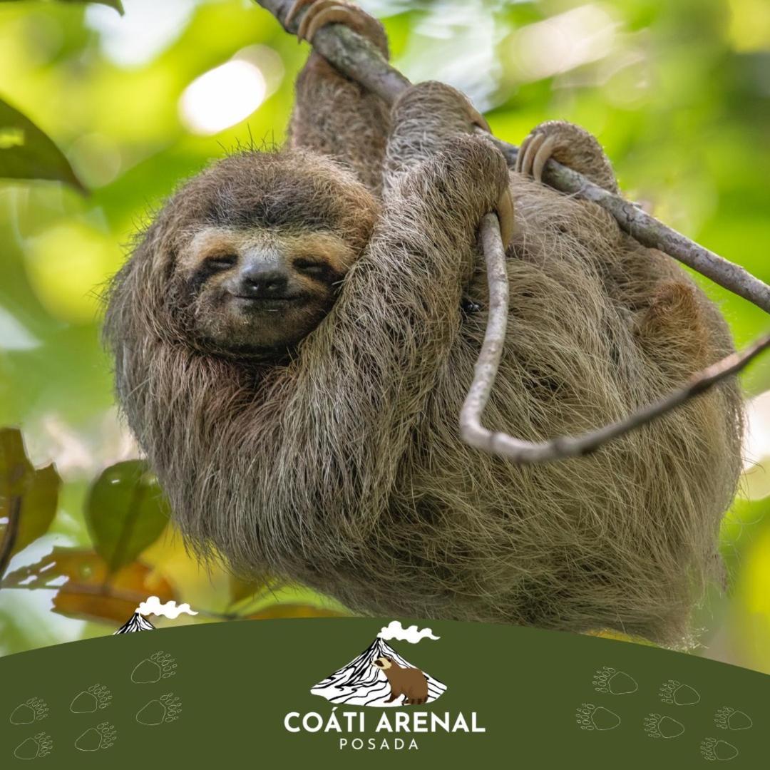 Coati Del Arenal Posada La Fortuna Екстериор снимка